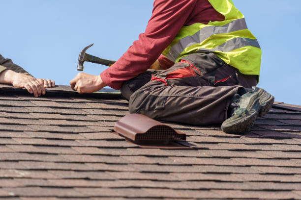 Best Storm Damage Roof Repair  in Bloomville, OH