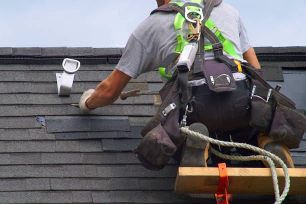 Best Local Roofing Companies  in Bloomville, OH