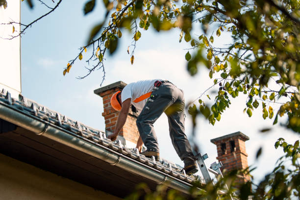 Best Residential Roofing Contractor  in Bloomville, OH