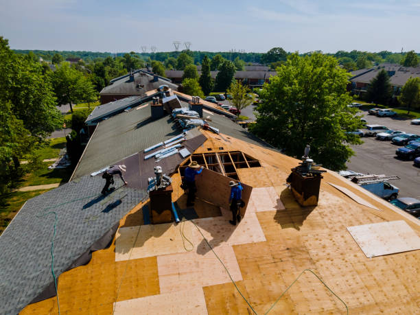 Best Roof Gutter Cleaning  in Bloomville, OH
