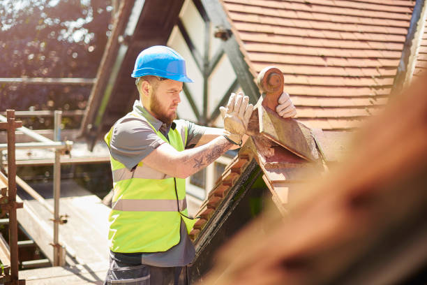 Best Storm Damage Roof Repair  in Bloomville, OH